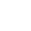 zespolicon